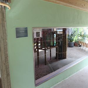 Enclosure Emperor tamarin
