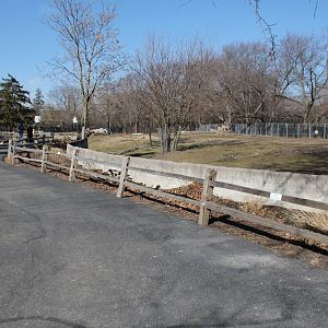 Detroit Zoo - Bactrian Camel exhibit