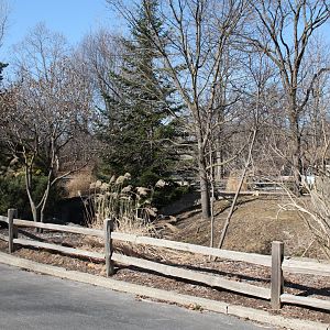 Detroit Zoo - Red Panda enclosure