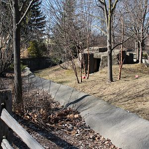 Detroit Zoo - Red Panda enclosure