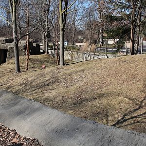 Detroit Zoo - Red Panda enclosure