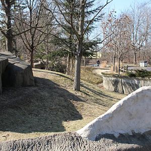 Detroit Zoo - Red Panda enclosure