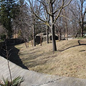 Detroit Zoo - Red Panda enclosure