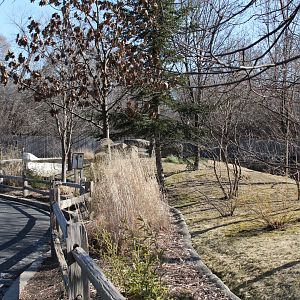 Detroit Zoo - Red Panda enclosure