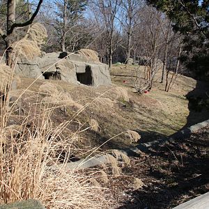 Detroit Zoo - Red Panda enclosure
