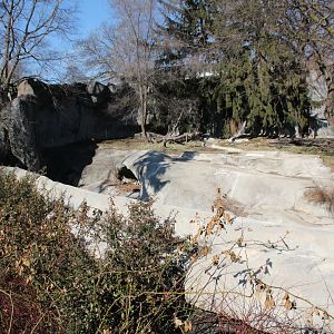 Detroit Zoo - Amur Tiger exhibit