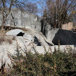 Detroit Zoo - Amur Tiger exhibit