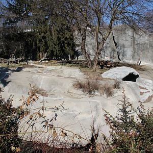 Detroit Zoo - Amur Tiger exhibit