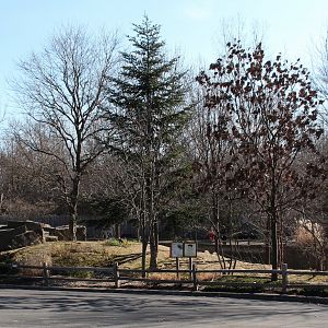 Detroit Zoo - Red Panda enclosure