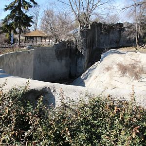 Detroit Zoo - Amur Tiger exhibit