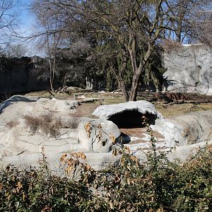 Detroit Zoo - Amur Tiger exhibit