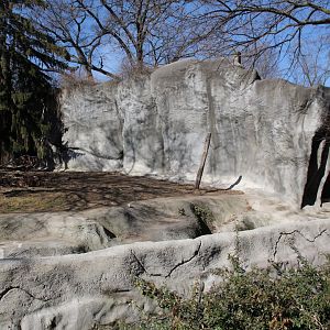 Detroit Zoo - Amur Tiger exhibit