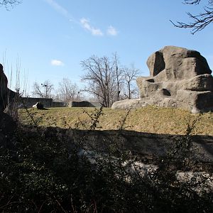 Detroit Zoo - Great Apes of Harambee exhibit