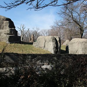 Detroit Zoo - Great Apes of Harambee exhibit