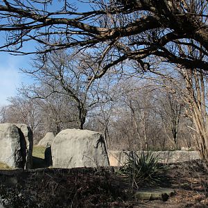Detroit Zoo - Great Apes of Harambee exhibit