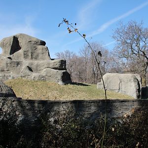 Detroit Zoo - Great Apes of Harambee exhibit