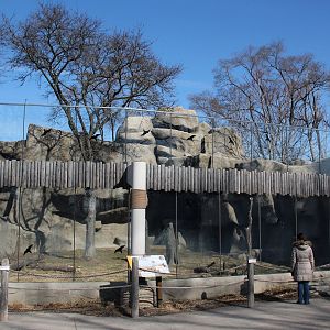 Detroit Zoo - African Lion exhibit