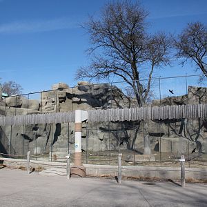 Detroit Zoo - African Lion exhibit