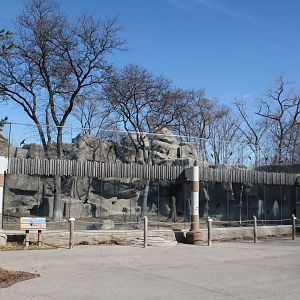Detroit Zoo - African Lion exhibit