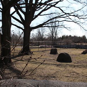 Detroit Zoo - African Grasslands
