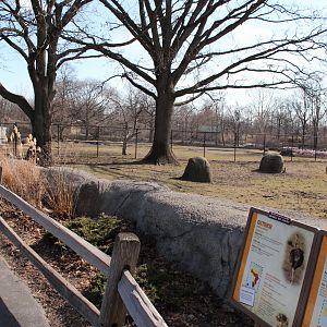 Detroit Zoo - African Grasslands