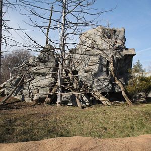 Detroit Zoo - Japanese Macaque enclosure