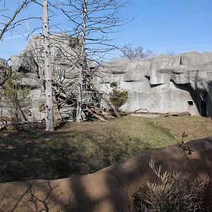 Detroit Zoo - Japanese Macaque enclosure