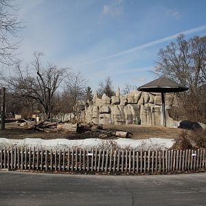 Detroit Zoo - White Rhinoceros exhibit