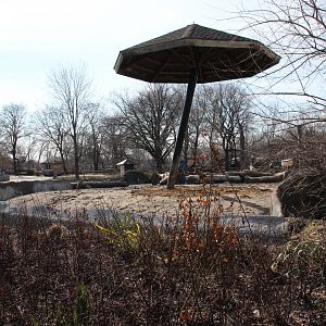 Detroit Zoo - White Rhinoceros exhibit