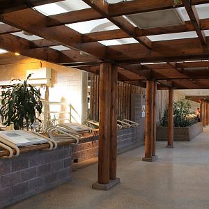 Detroit Zoo - White Rhinoceros exhibit