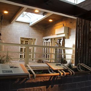 Detroit Zoo - White Rhinoceros exhibit