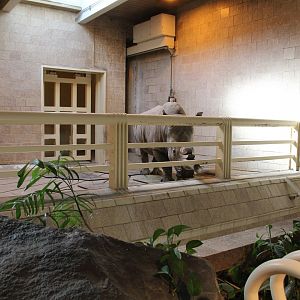 Detroit Zoo - White Rhinoceros exhibit