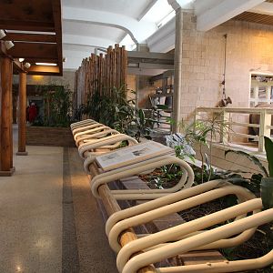 Detroit Zoo - White Rhinoceros exhibit