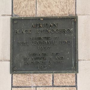 Detroit Zoo - White Rhinoceros exhibit