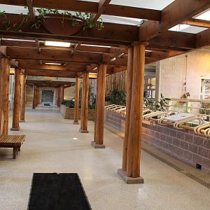 Detroit Zoo - White Rhinoceros exhibit