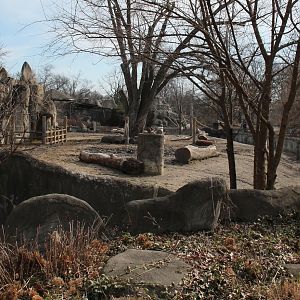 Detroit Zoo - White Rhinoceros exhibit