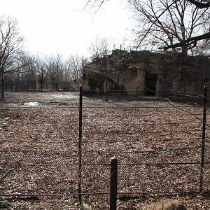 Detroit Zoo - Warthog enclosure
