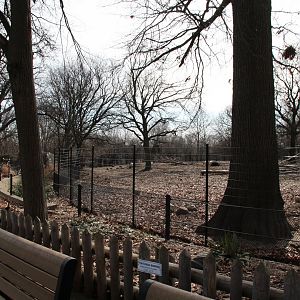 Detroit Zoo - Warthog enclosure