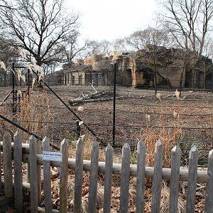 Detroit Zoo - Warthog enclosure