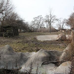Detroit Zoo - Grevy's Zebras enclosure