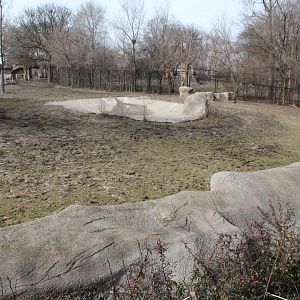 Detroit Zoo - Grevy's Zebras enclosure