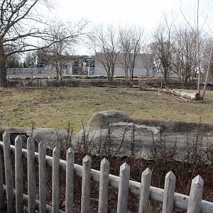 Detroit Zoo - Grevy's Zebras enclosure