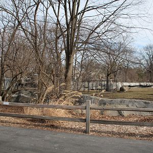 Detroit Zoo - African Grasslands