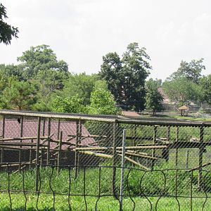 Diana Monkey Breeding Complex