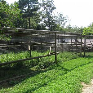 Diana Monkey Breeding Complex
