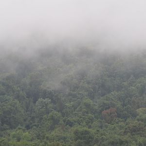 Smithsonian Conservation Biology Institute- Autumn Festival