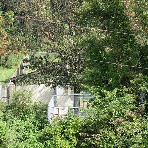 Smithsonian Conservation Biology Institute- Autumn Festival