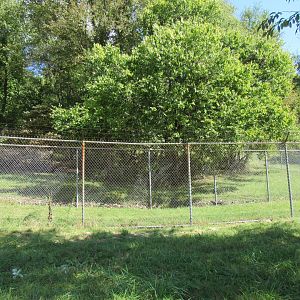 Smithsonian Conservation Biology Institute- Autumn Festival