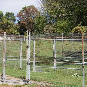 Smithsonian Conservation Biology Institute- Autumn Festival