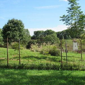 Smithsonian Conservation Biology Institute- Autumn Festival